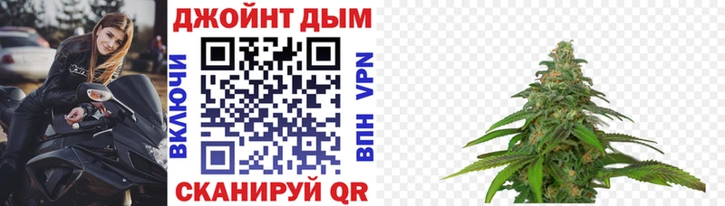 Купить закладки Дедовск Каннабис ГИДРОПОН